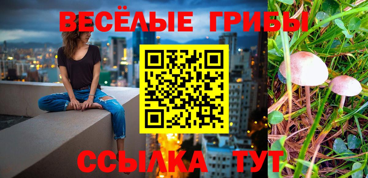 Галлюциногенные грибы ЛСД  Галлюциногенные грибы прущие грибы  Вход с VPN  Кувандык 